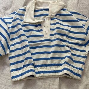 Blue and White Striped Collar Shirt